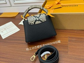 LV 精仿原單N95509 CAPUCINES 迷你手袋¥3,180.00