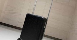 LV路易威登Taurillon 皮革壓印Horizon 55 拉桿箱M20438¥5480.00