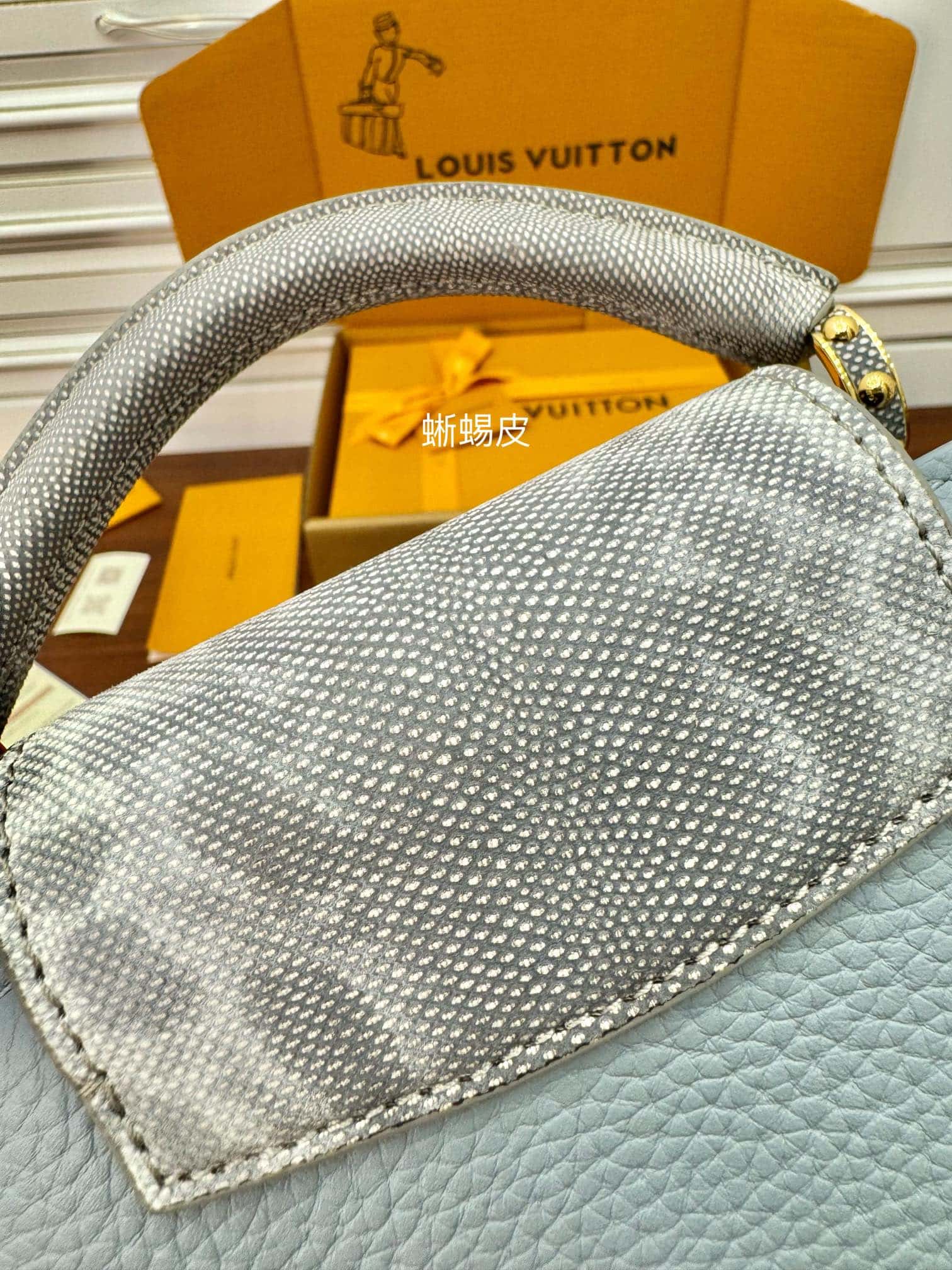 LV 正品級高仿包M22876蜥蜴皮特正版 Capucines Mini¥3,180.00-頂級1:1精品高仿包包香港台灣批發價格推薦微信哪裡買